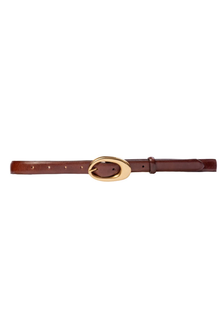 Oval Zebra Belt, Main, color, Brown Leather/Gold