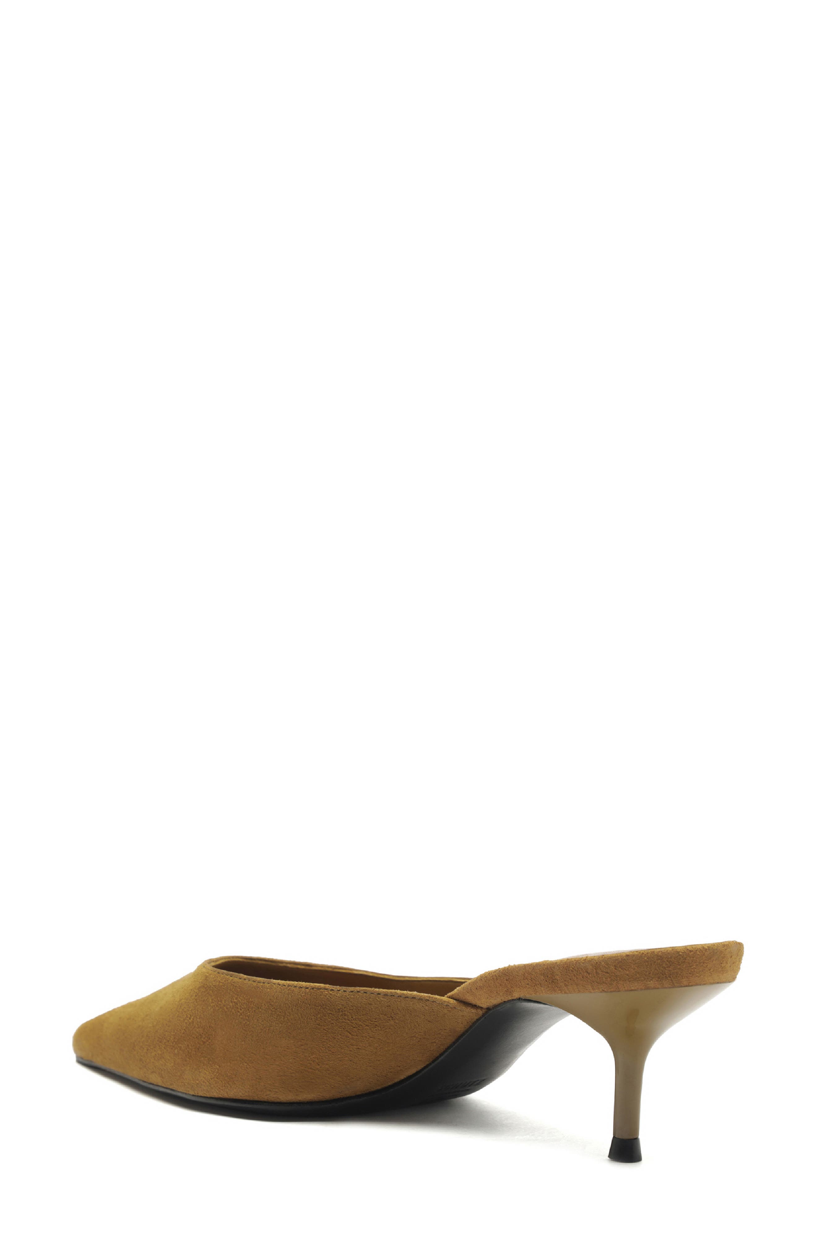 Schutz Julie Pointed Toe Mule, Alternate, color, 