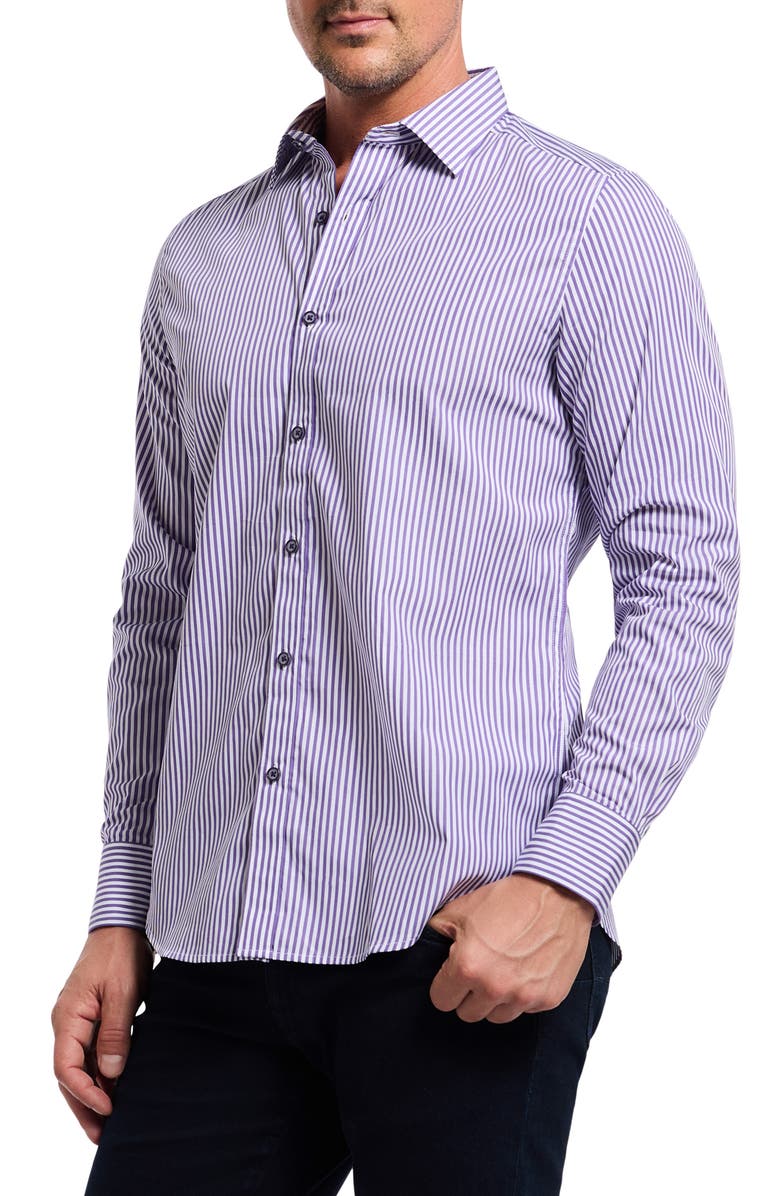 Robert Graham Greenwich Stripe Stretch Button-Up Shirt, Alternate, color, Purple