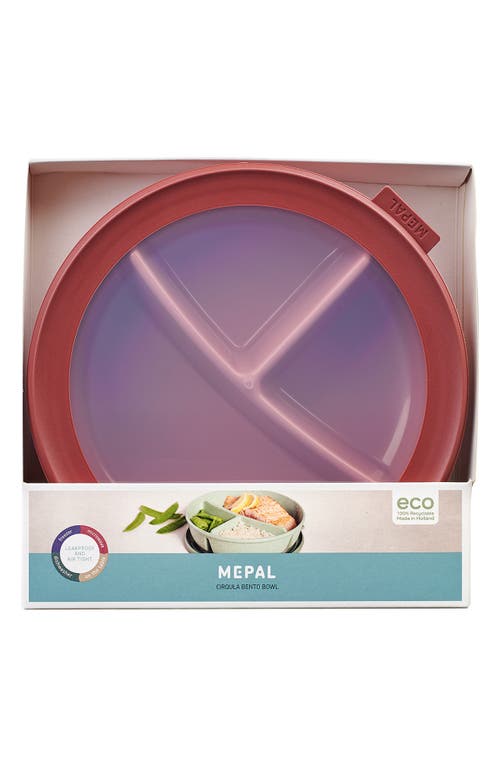 Mepal Cirqula Bento Bowl
