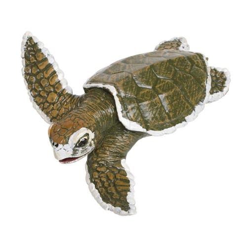 Safari Ltd. Kids'  Kemps Ridley Sea Turtle Baby