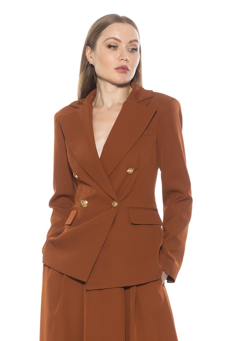 Double Breasted Jacket, Alternate, color, BROWN