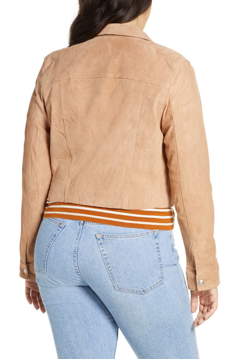 Crop Suede Trucker Jacket, Alternate, color, RODEO
