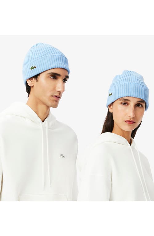 Lacoste Wool Cuff Beanie In Blue
