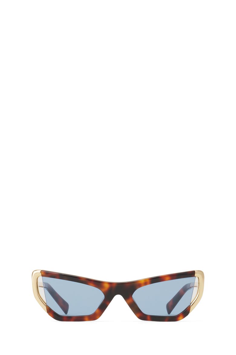 Nova Sunglasses, Main, color, Brown/Gold