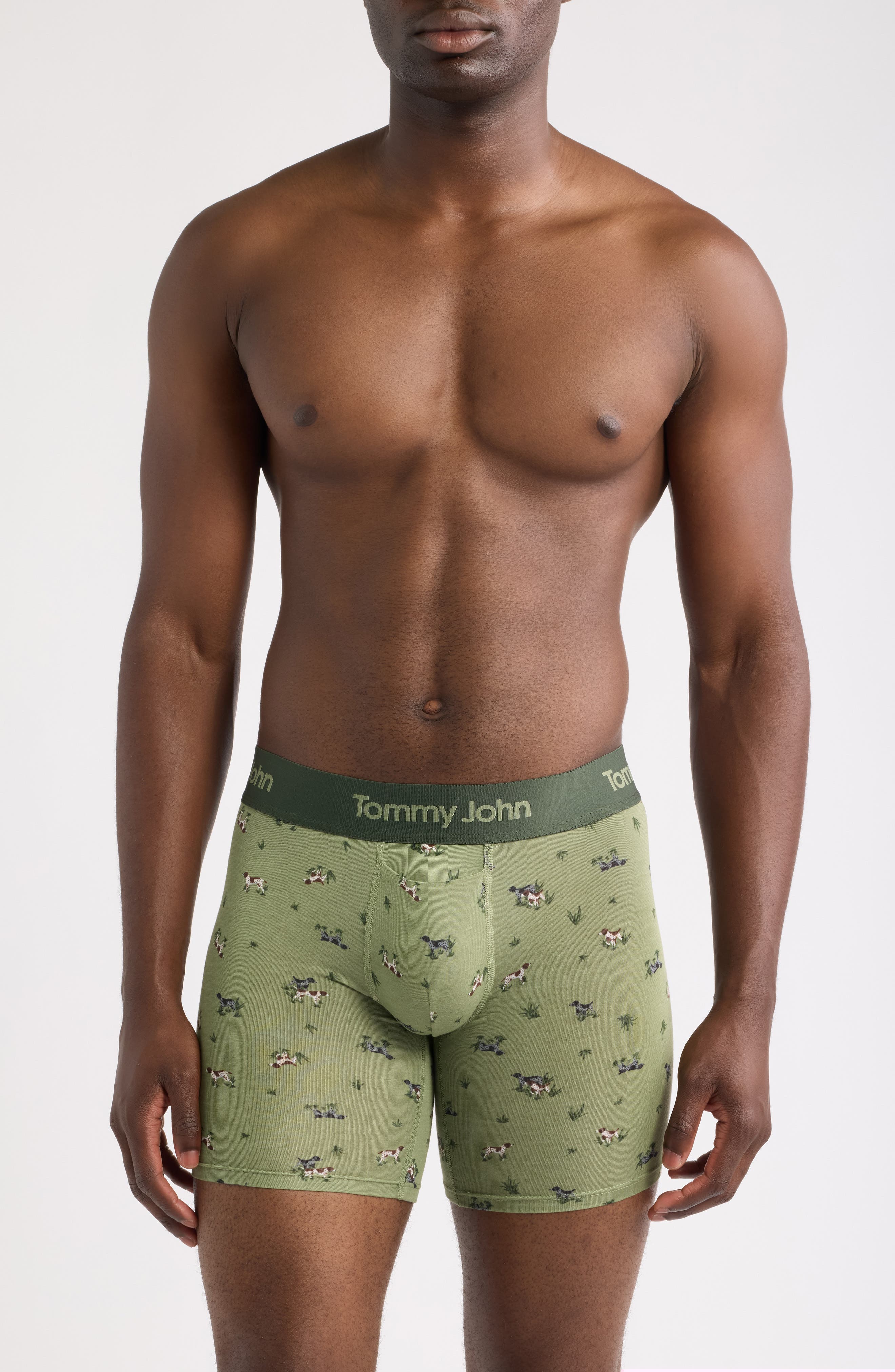 OIL GREEN POINTER DOGS