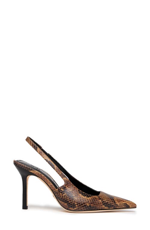 Paige Sienna Slingback Pointed Toe Pump In Brown