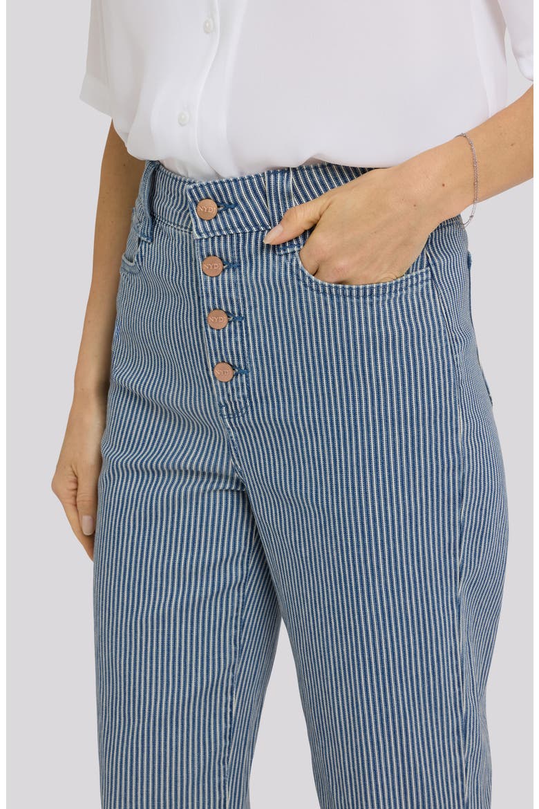 Kasey Stripe Exposed Button Ankle Stovepipe Jeans, Alternate, color, MALAGA STRIPE