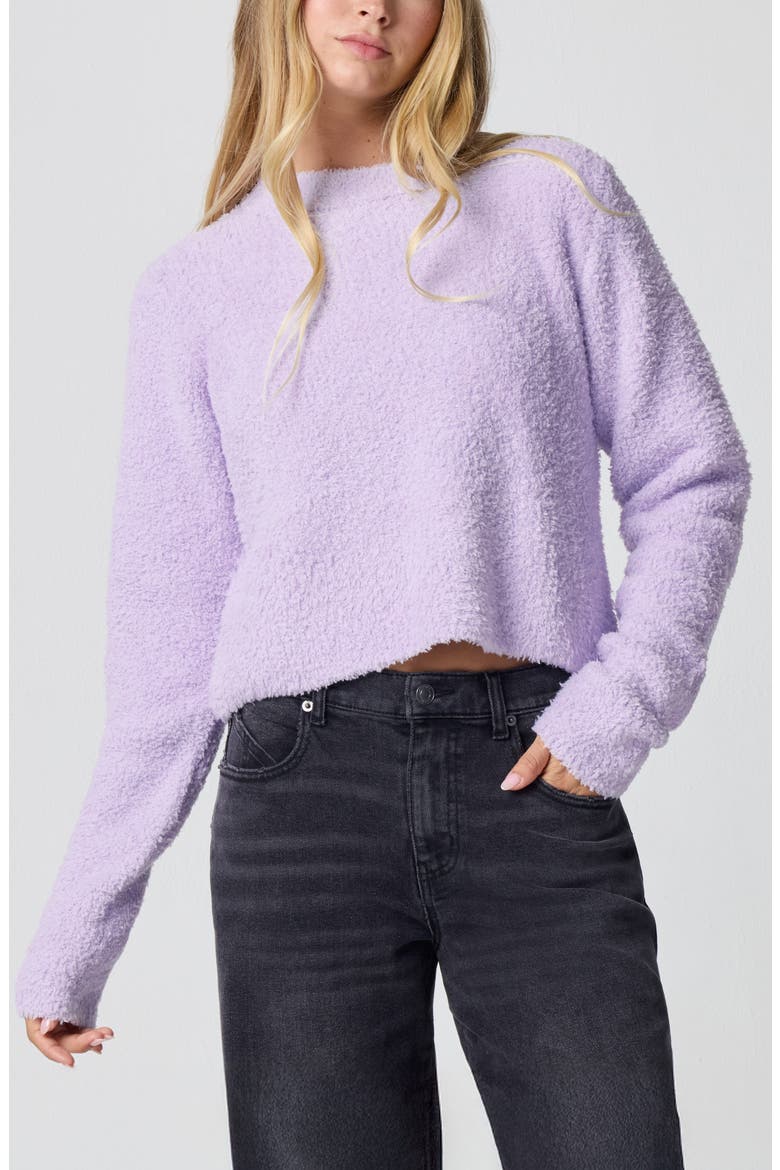 Crop Crewneck Sweater, Main, color, MILLIE LAVENDER