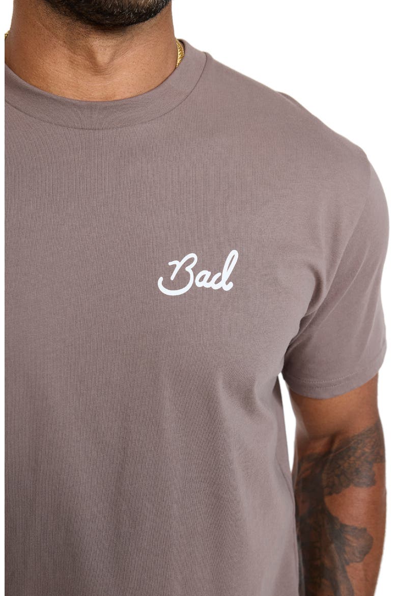Birdie Cotton Graphic T-Shirt, Alternate, color, IRON