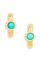 selected Turquoise Multi