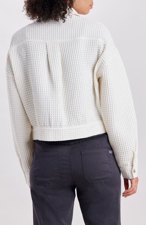 Supplies By Union Bay Waffle Knit Crop Shirt Jacket In Muslin