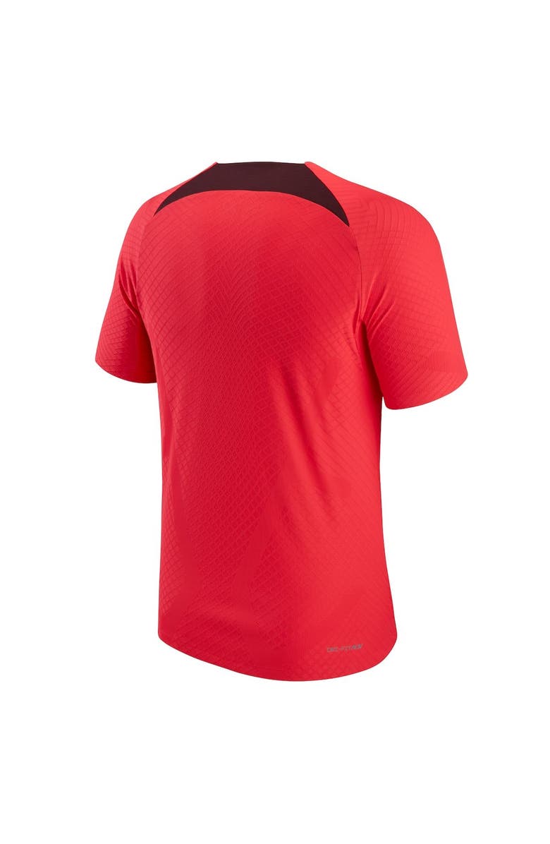 Nike Men's Nike Red Liverpool Advance Strike Raglan Performance Top, Alternate, color, Red