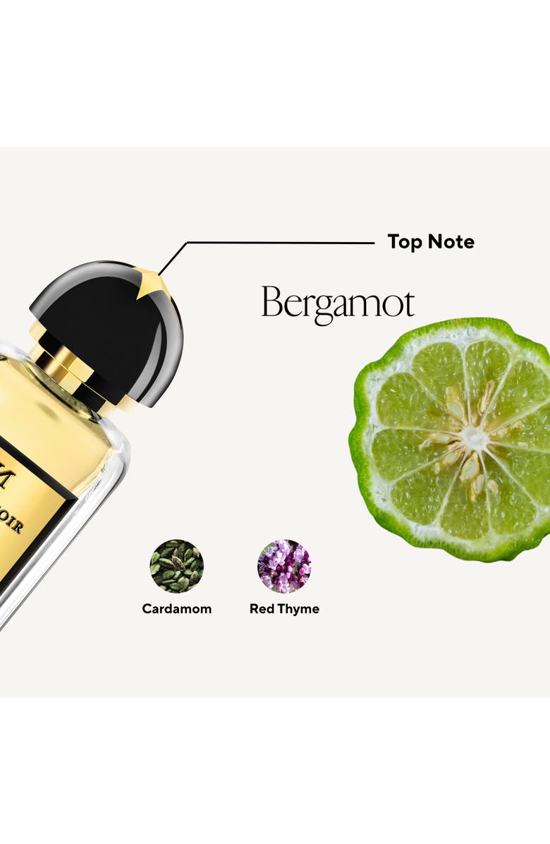 MAISON NOIR Bohemia 265, Alternate, color, NO COLOR