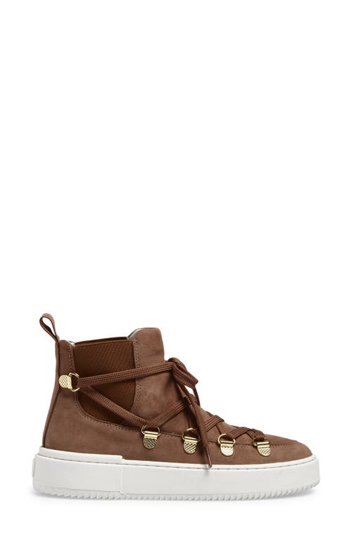 Stuart Weitzman Ziggy High Top Sneaker In Brown