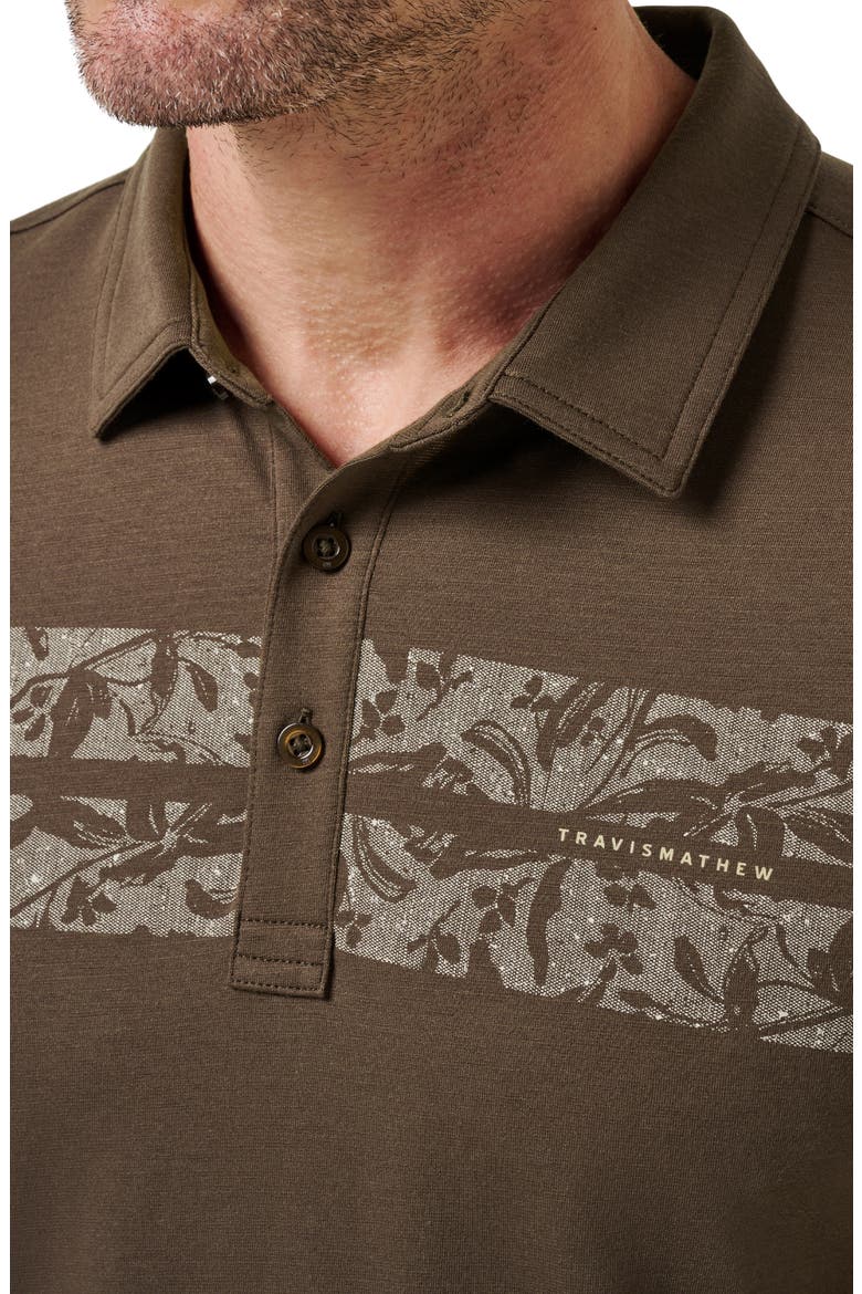 Orchard Walk Floral Stripe Polo, Alternate, color, CHOCOLATE