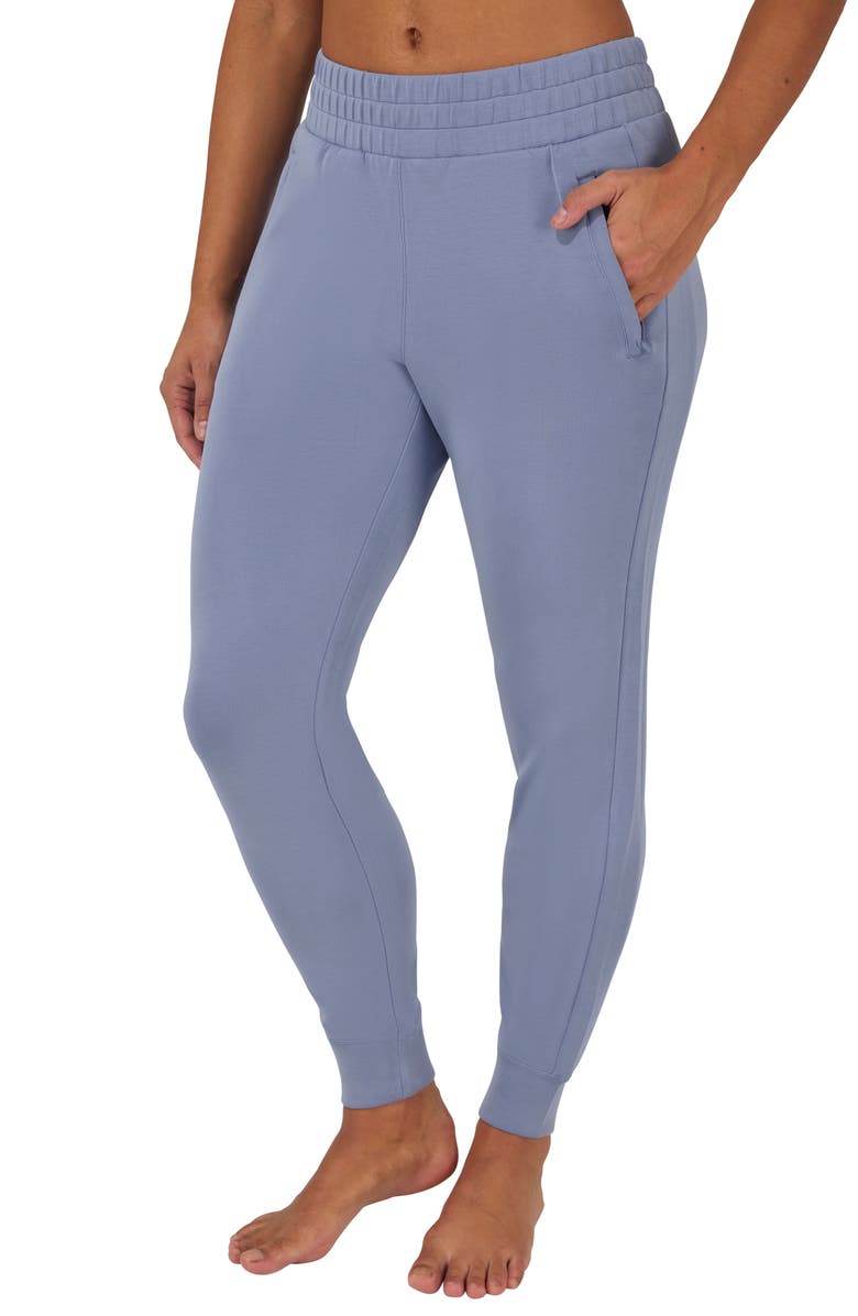 YOGALICIOUS SoftLite District Sandwashed Joggers, Alternate, color, Cloud Mist