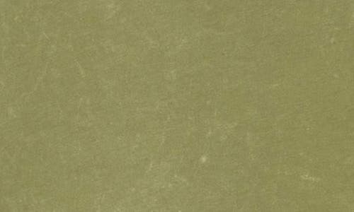 John Varvatos Bodhi Marble Wash Polo In Pistachio