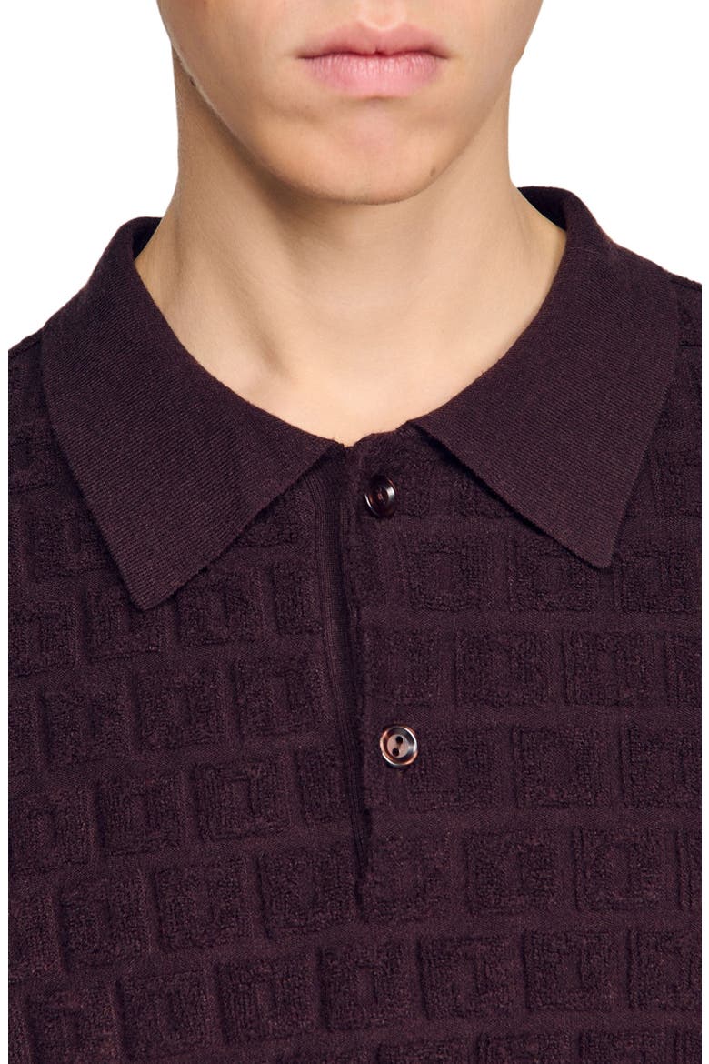 Terry knit polo shirt, Alternate, color, Chocolate