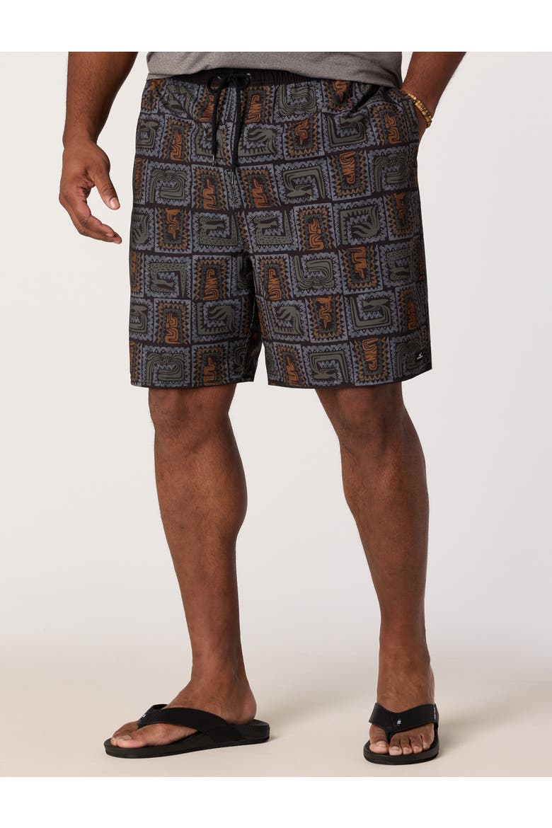 Big & Tall Hermosa Lined Hybrid Shorts, Main, color, BLACK