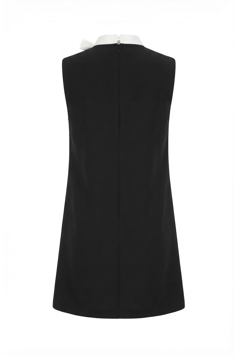 Sleeveless Shift Dress with Contrast Tie Neck and Pleat Detail, Alternate, color, Black / White