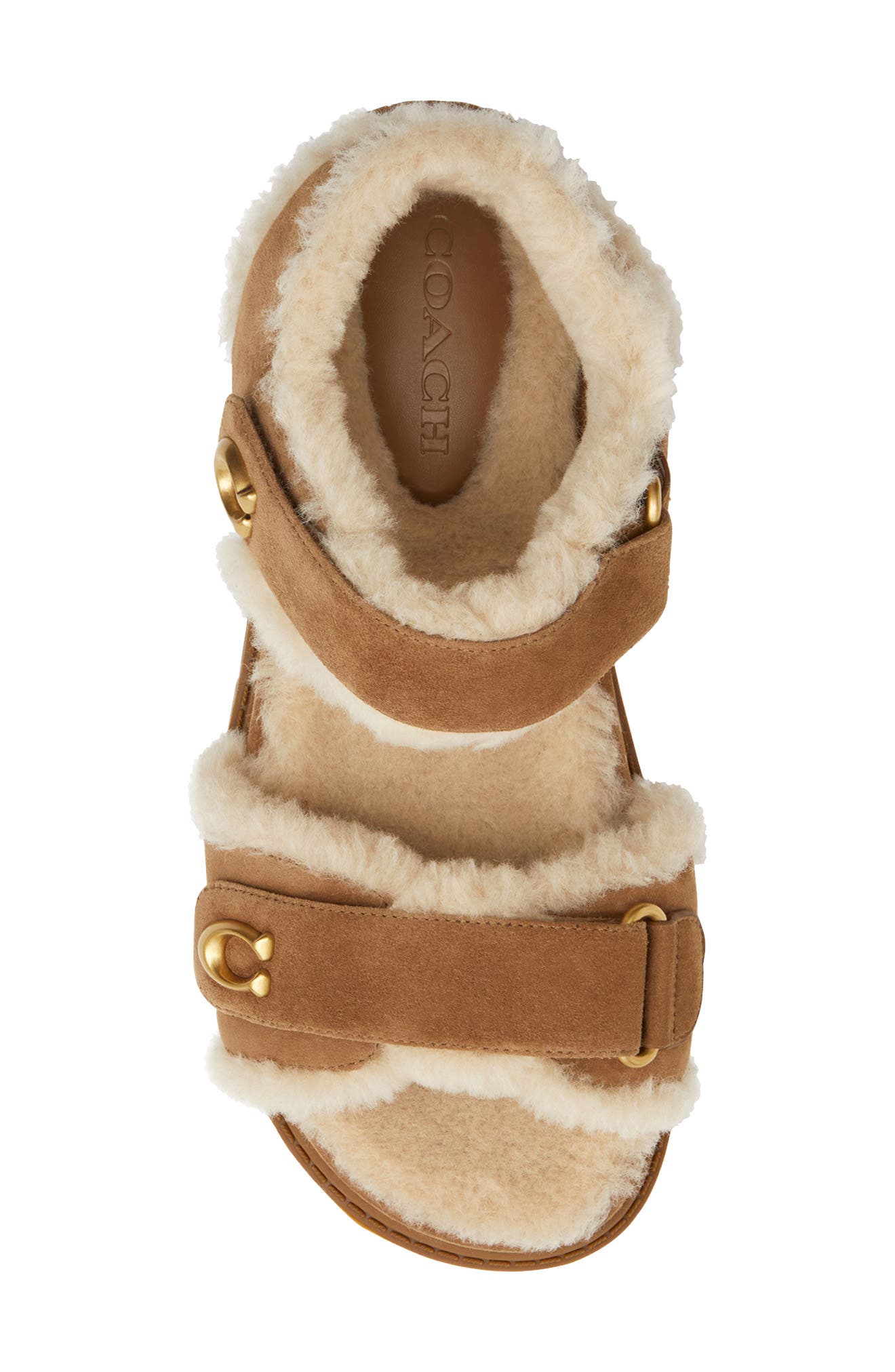 COACH Brynn Genuine Shearling Lined Sandal, Alternate, color, Coconut/ Natural