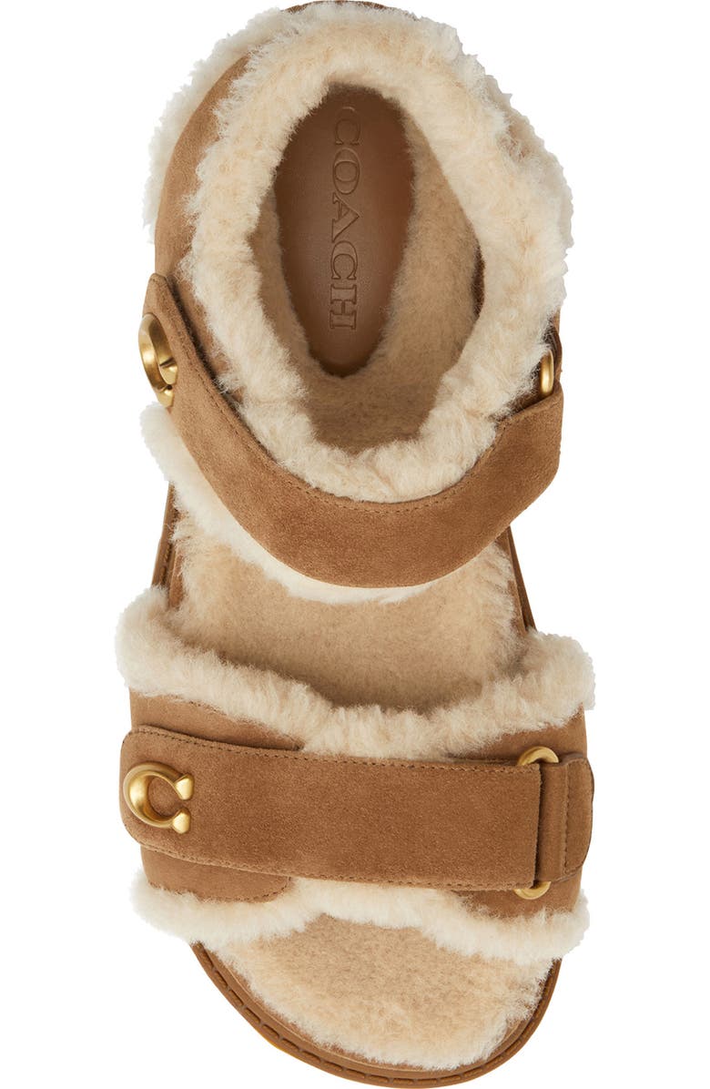 COACH Brynn Genuine Shearling Lined Sandal, Alternate, color, Coconut/ Natural
