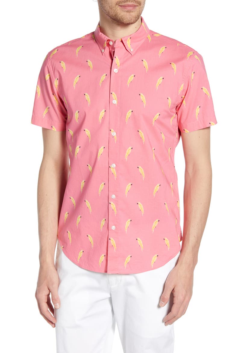 Riviera Slim Fit Macaw Print Shirt, Main, color, MACAW STAMP