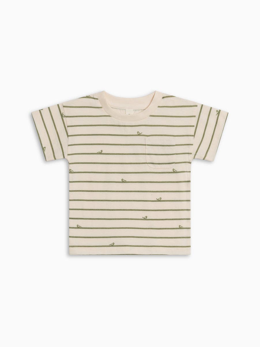 selected Bird Stripe/Fern