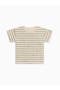 selected Bird Stripe/Fern
