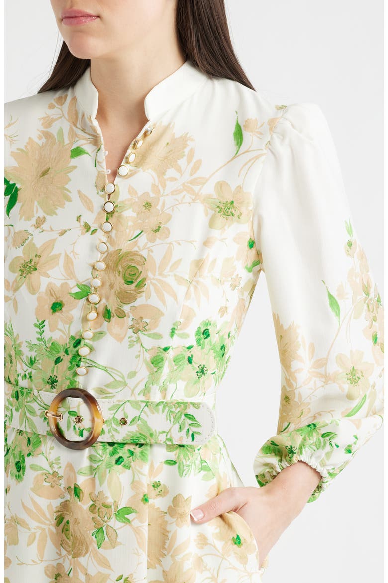Border Print Belted Long Sleeve Dress, Alternate, color, IVORY FERN