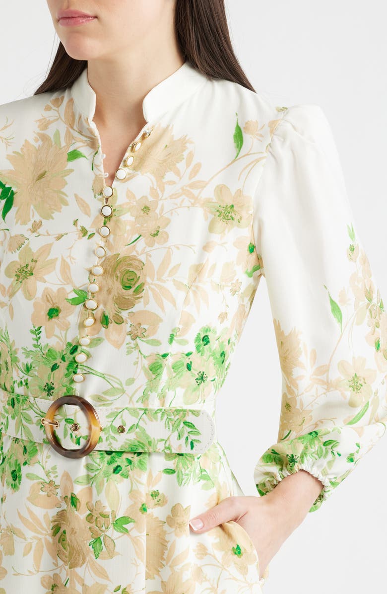 Tahari ASL Border Print Belted Long Sleeve Dress, Alternate, color, Ivory Fern