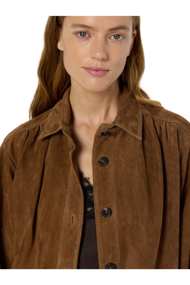 Nomelie Suede Jacket, Alternate, color, Straw