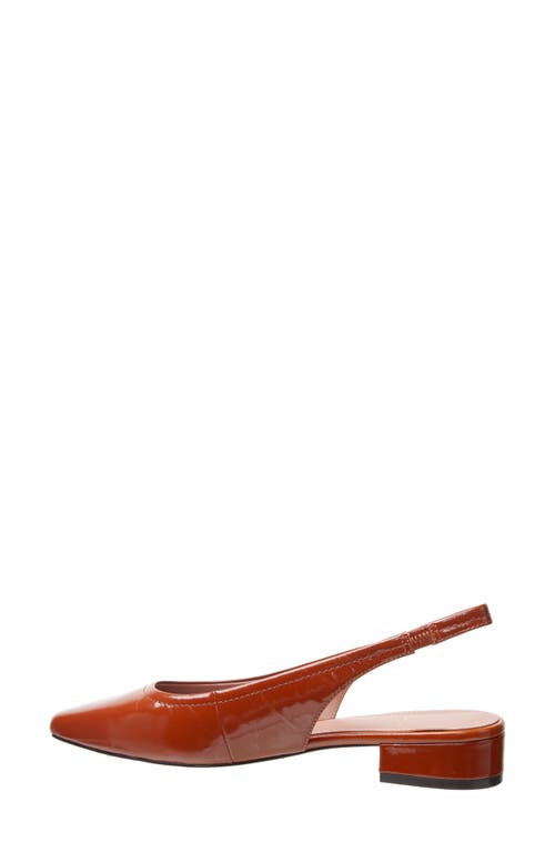 Linea Paolo Cielo Slingback Pump In Brown