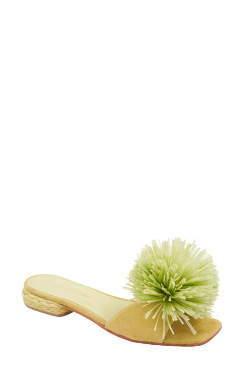 Andre Assous André Assous Rayni Slide Sandal In Pistachio