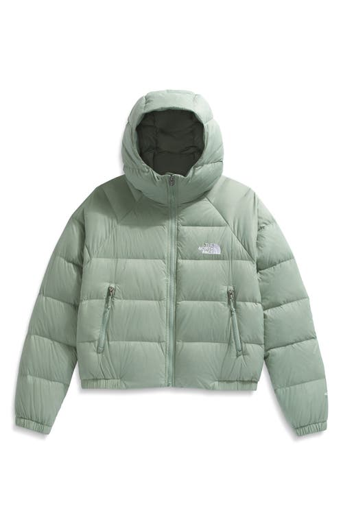 The North Face Hydrenalite Hooded Down Jacket In Burgundy