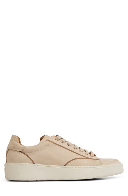 Bruno Magli Matteo Sneaker In Brown
