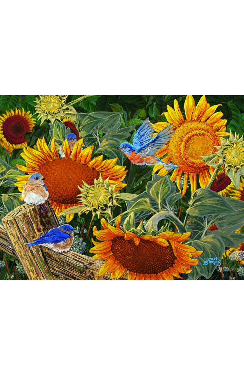 Sunsout Sunflower Patch 300 piece Jigsaw Puzzle for Adults, Alternate, color, Multicolor