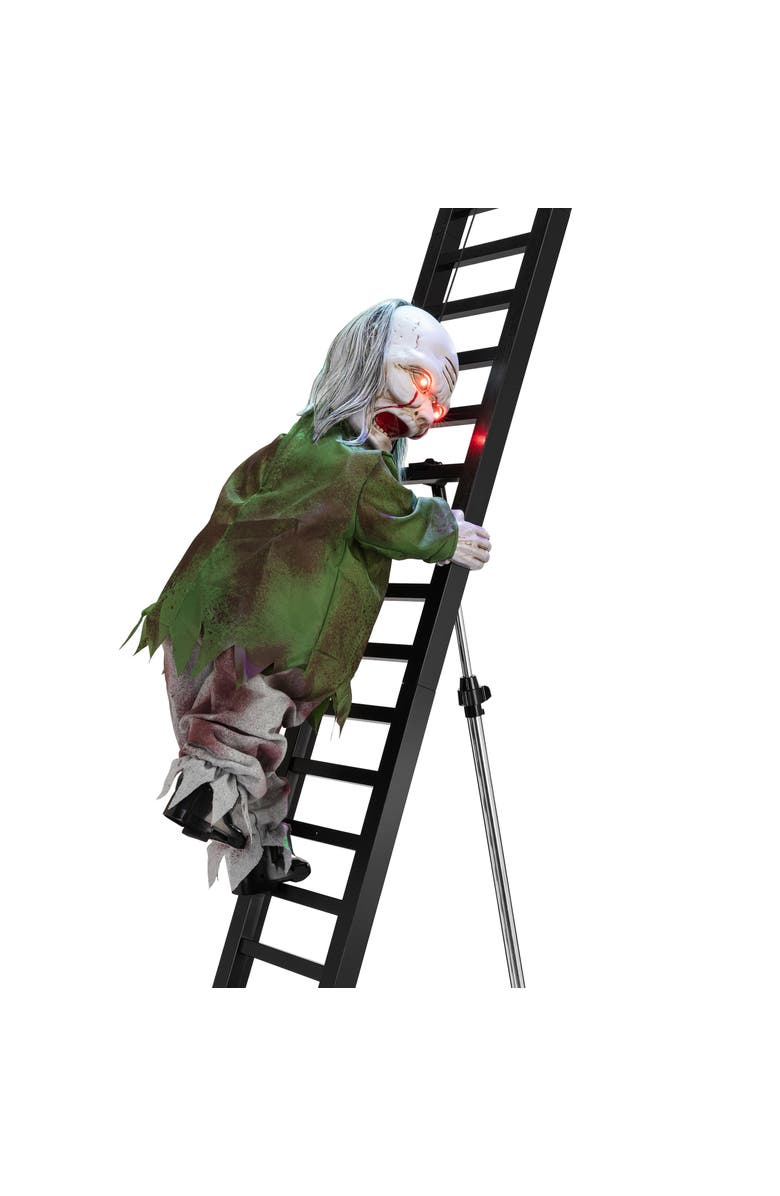 Mr. Halloween 10 ft. Outdoor Ladder Climbing Zombie, Alternate, color, Multicolor