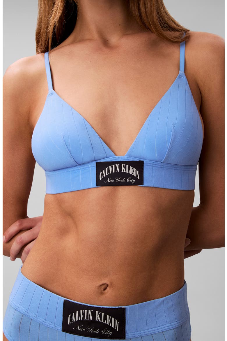 Heritage Classic Lightly Lined Triangle Bra, Alternate, color, BLUE DESCENT