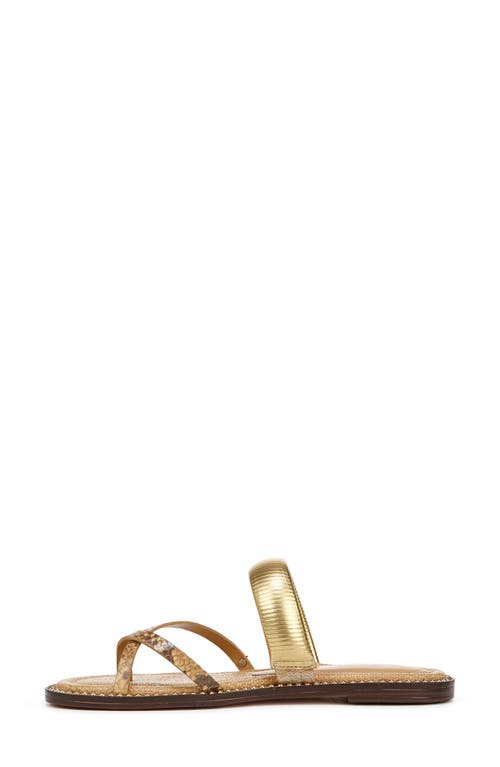 Shop Sam Edelman Tillie Slide Sandal In Amber Multi