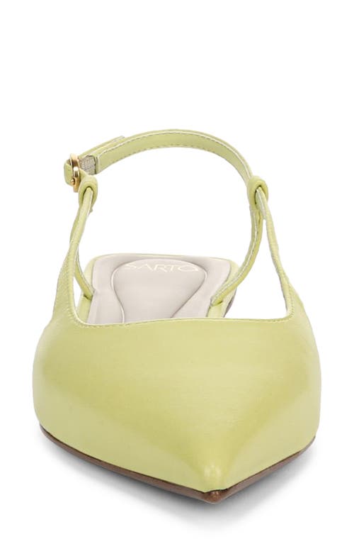 Sarto By Franco Sarto Pheby Slingback Pointed Toe Flat In Green