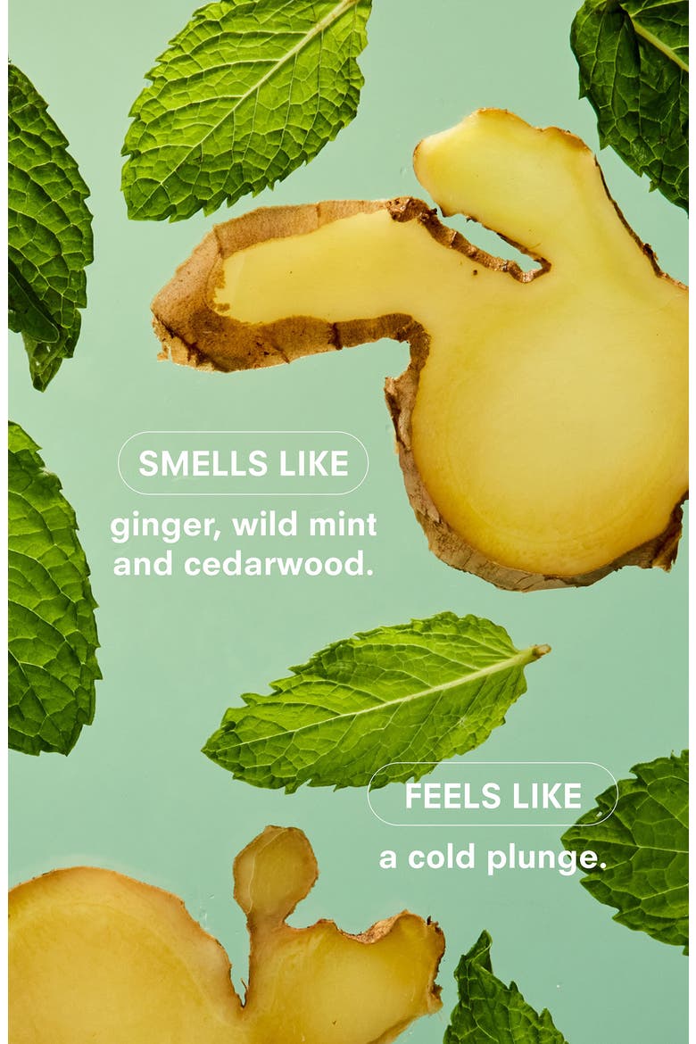 Minty Candle, Alternate, color, NO COLOR