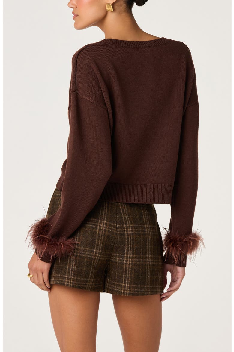 Perdita Feather Trim V-Neck Sweater, Alternate, color, BROWN