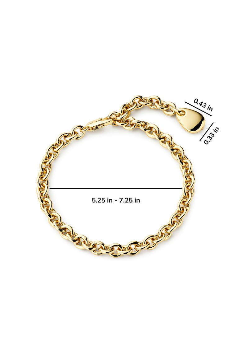 Gold Charm Bracelet - Pebble Charm Bracelet, Alternate, color, Gold