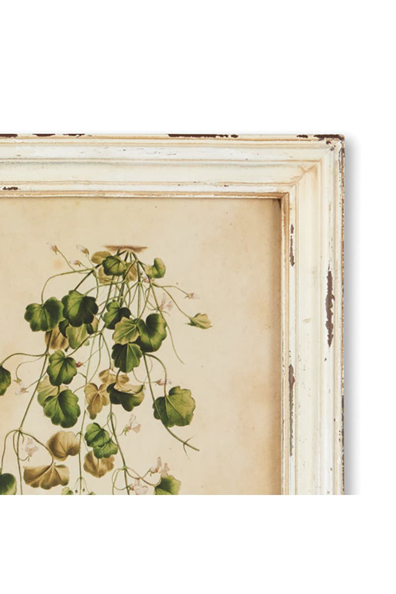 Framed Wild Flower Botanical Prints Set of 12, Alternate, color, Beige