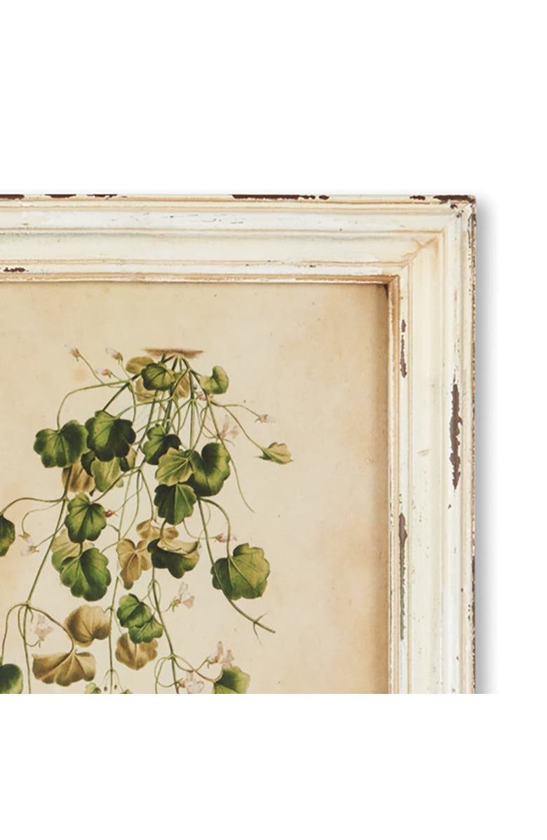 Napa Home & Garden Framed Wild Flower Botanical Prints Set of 12, Alternate, color, 