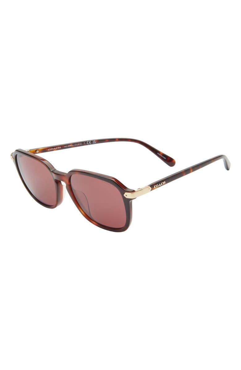 COACH 55mm Round Sunglasses, Alternate, color, Wine