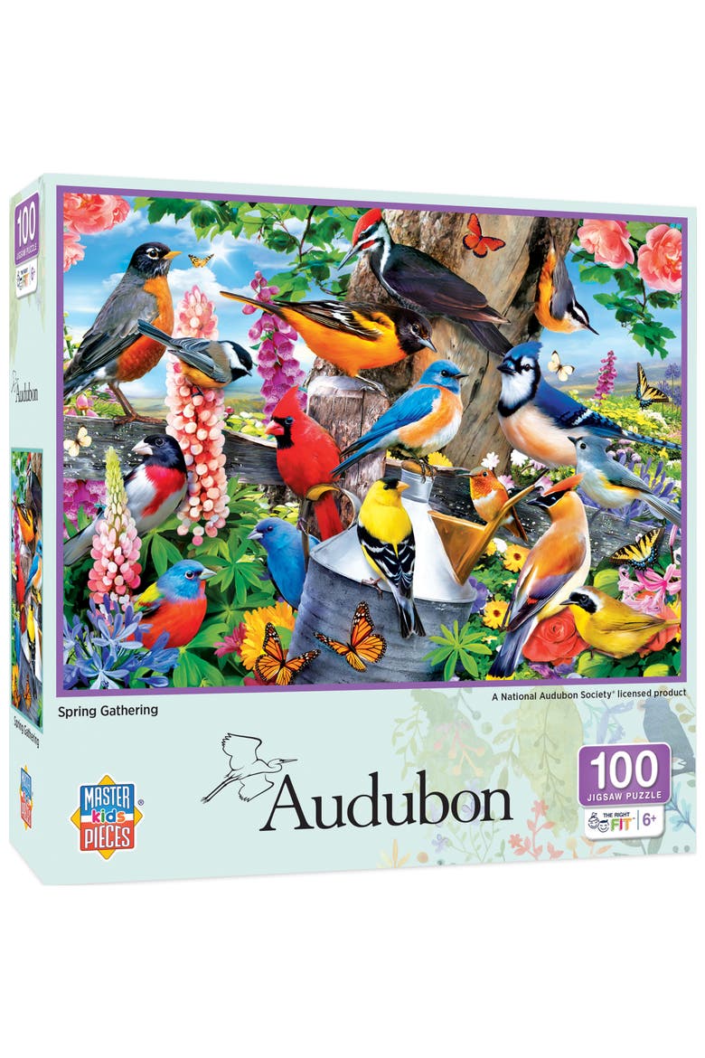 Audubon Spring Gathering 100pc Puzzle, Main, color, Multicolor