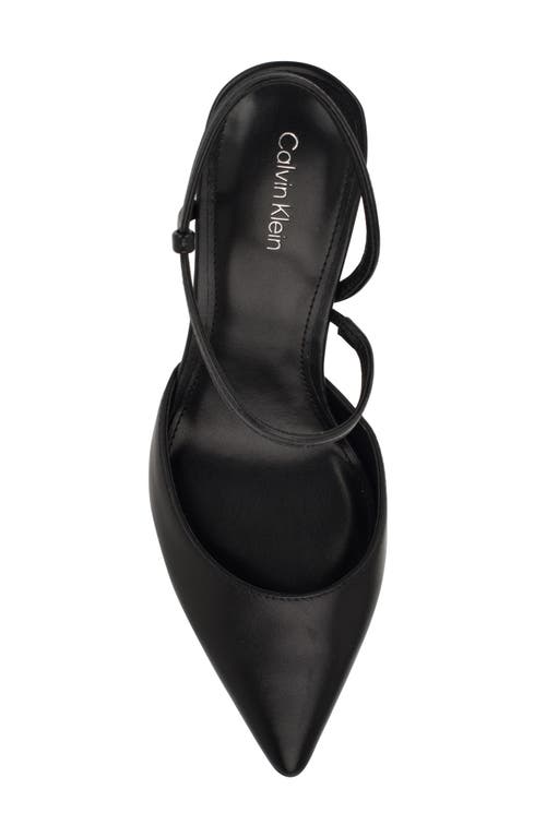 Calvin Klein Women's Cordera Pointy Toe Stiletto Pumps In Black